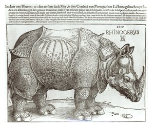 Rinoceronte, impresión dada a Maximiliano I (1459-1519) por el Rey de Lisboa (1495-1521), 1515 de Albrecht Dürer